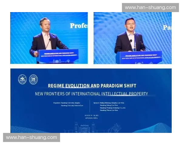 以速度连续性为核心的系统动态稳定与协同演化新范式研究理论框架